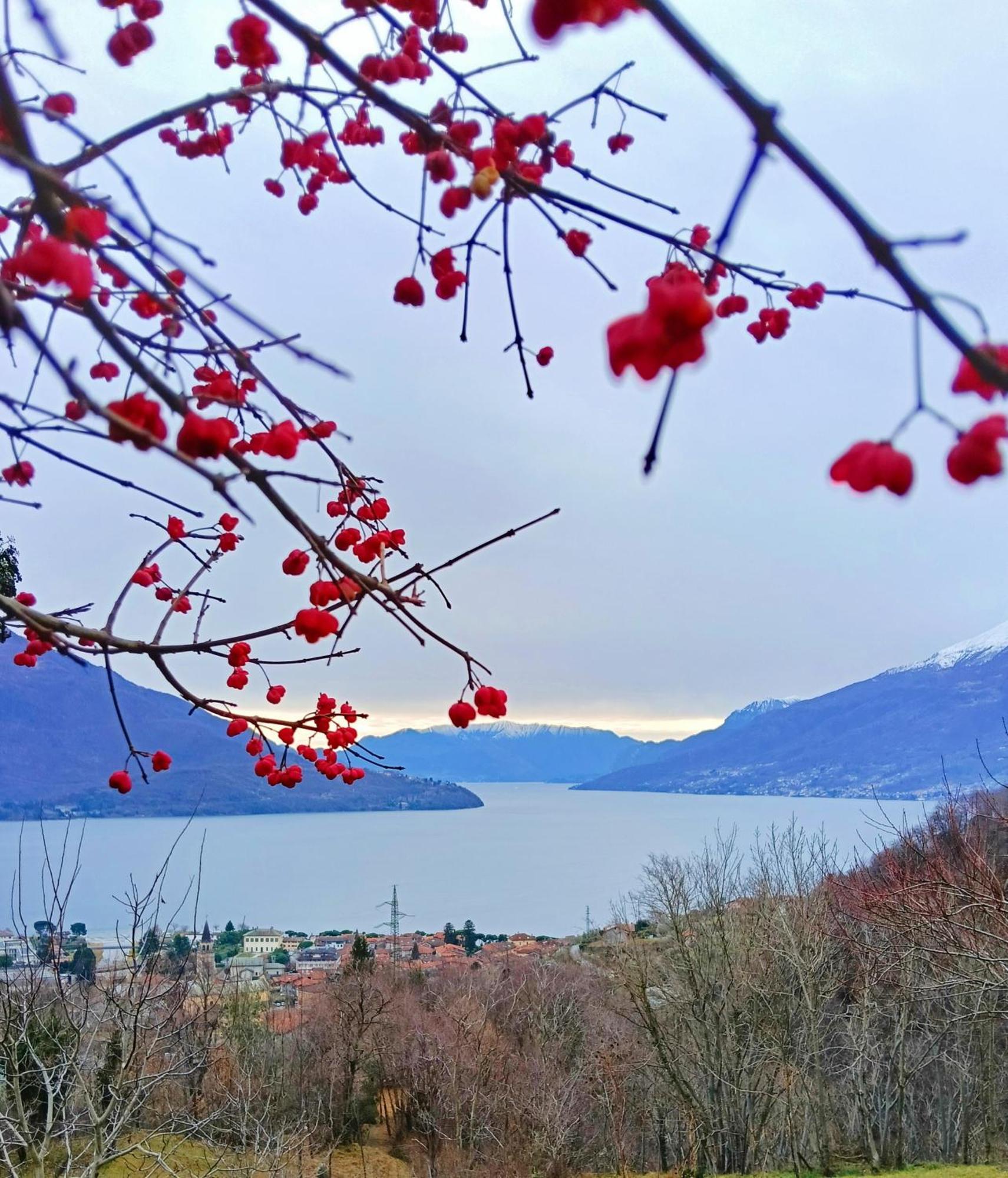 Lake Como Borgo Vignola Cremia Buitenkant foto